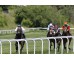  Carrera: G.P.Nacional Caballo: Roncal Monta: V.Janacek